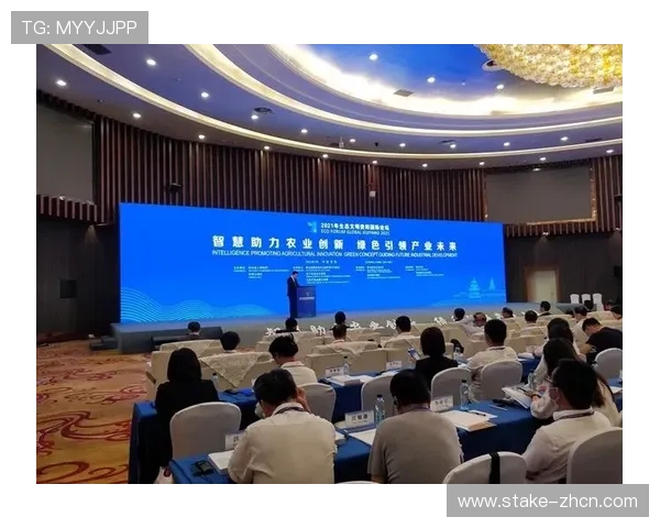 鼎龙娱乐：引领未来娱乐产业的创新先锋